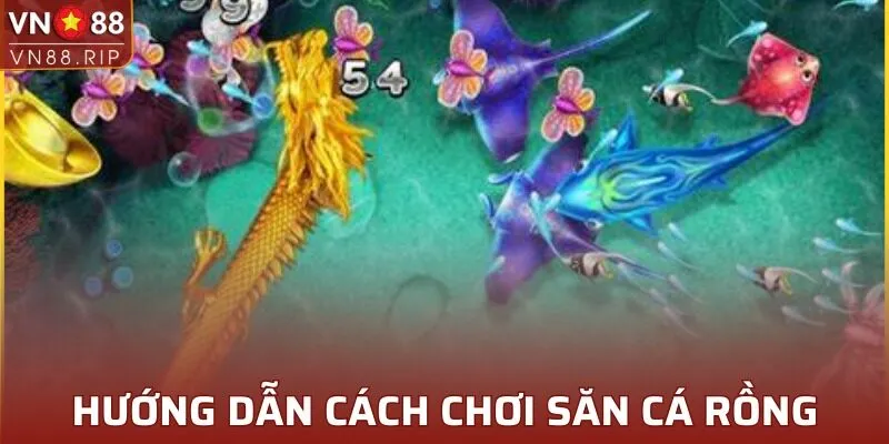 Chỉ dẫn cách chơi săn cá rồng cực hấp dẫn 2025