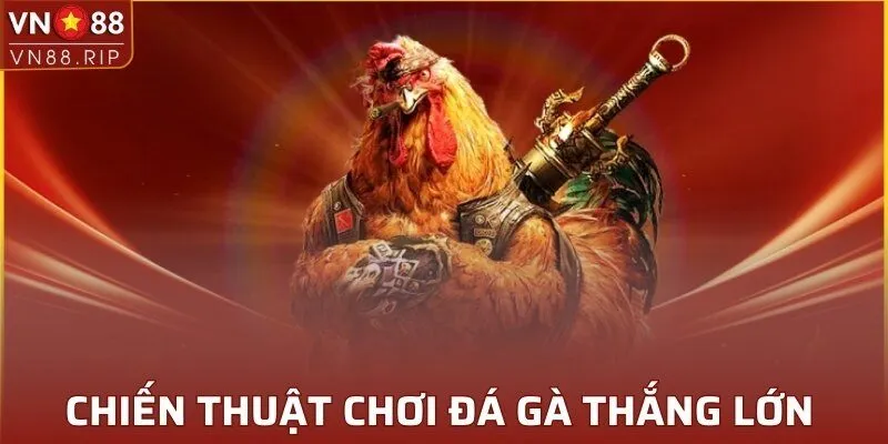 Chiến thuật chơi đá gà thắng lớn