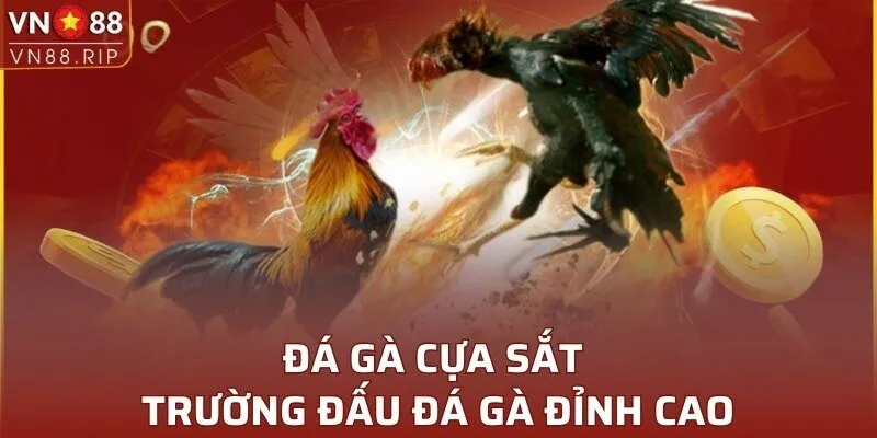 Đá Gà Cựa Sắt