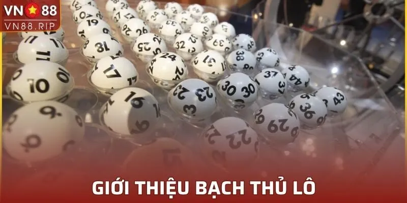 Giới thiệu bạch thủ lô