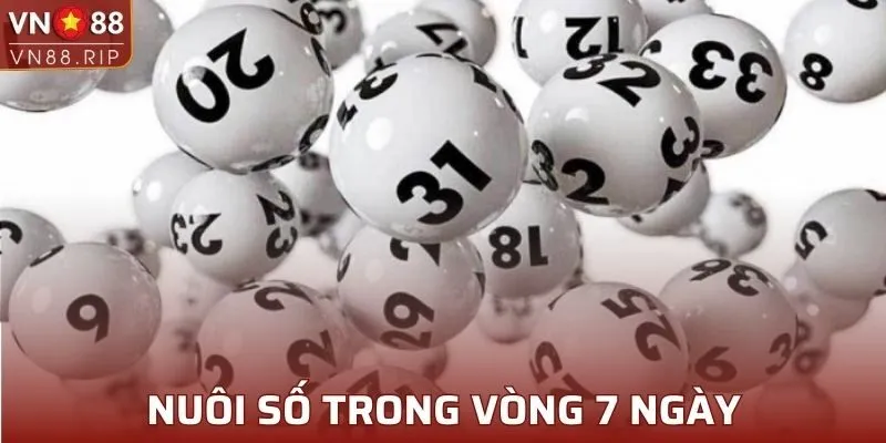 Nuôi số trong vòng 7 ngày