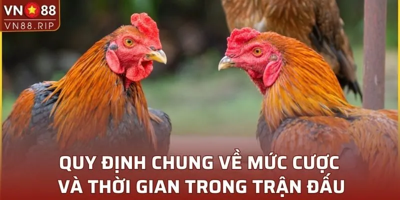 Quy định chung về mức cược và thời gian trong trận đấu