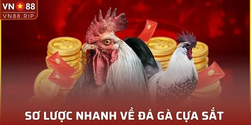 Sơ lược nhanh về đá gà cựa sắt